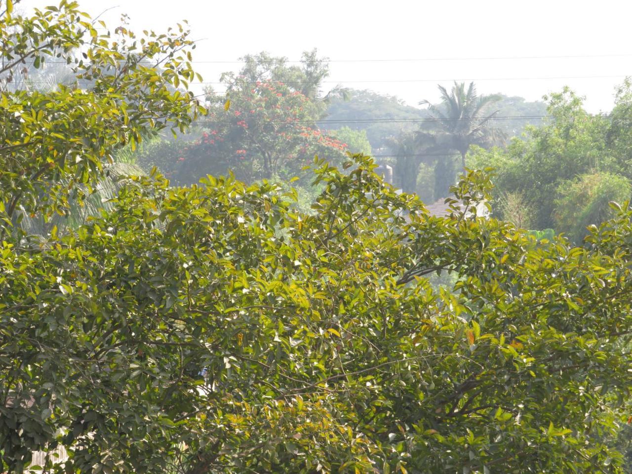 City Palace Resort Lonavala Exterior foto